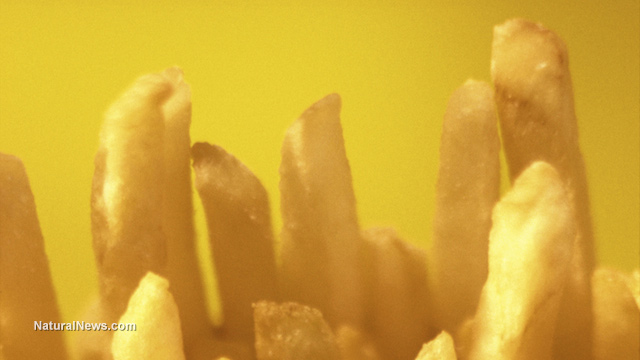 McDonald’s french fries found to contain ingredients used in tank sealants, biodiesel