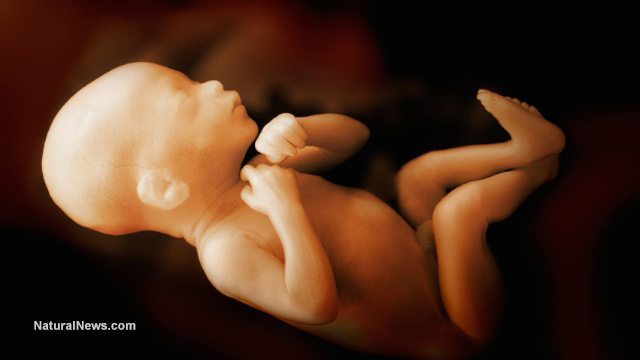 Trump administration launches investigation into Planned Parenthood for trafficking illegal baby body parts