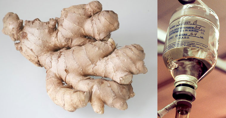 Ginger is the monumentally superior alternative to chemotherapy