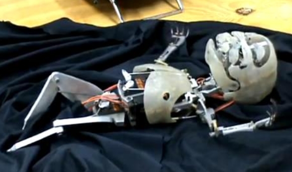 Introducing the Robot Baby Project: Amsterdam researchers have decided to make robots that can mate and reproduce