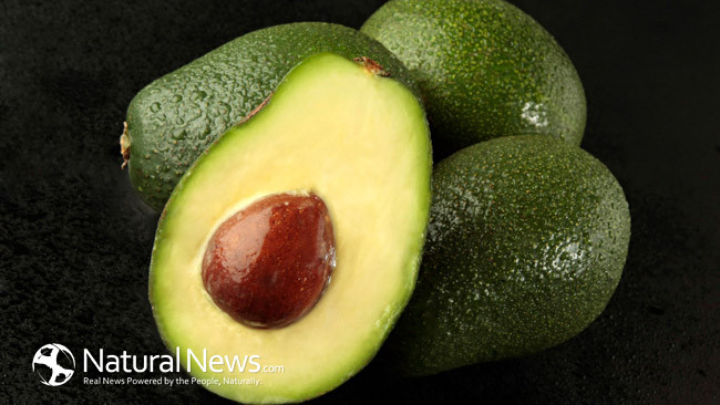 Avocado seed: a superfood for your health