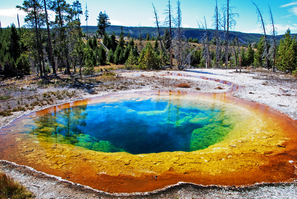 Man killed, body dissolved in Yellowstone hot spring