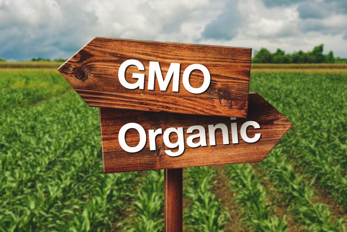 Indian state will pay farmers to go 100% organic and GMO-free