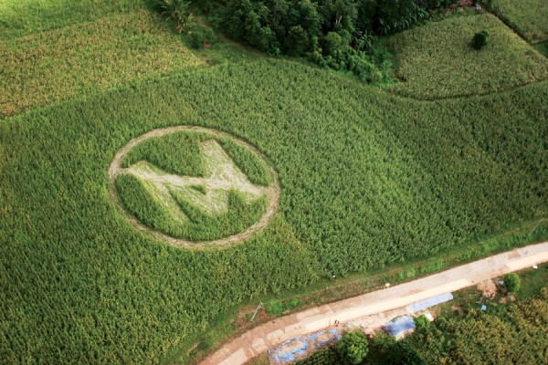 Monsanto is an evil company that doesn’t care about you or the environment