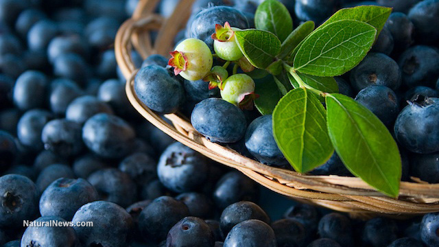 These 10 superfoods will help reduce your stress levels