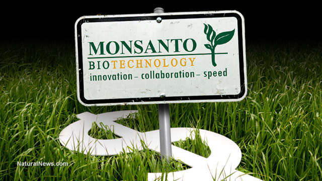 Report shows Monsanto has too much power, influence