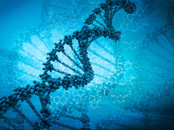 Is human DNA the breakthrough in storage we have been looking for?
