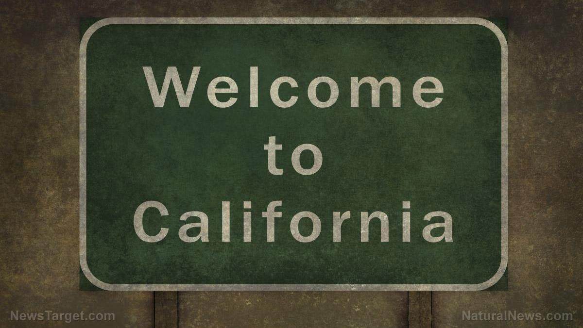 Liberal cities in California becoming homeless wastelands as socialist policies FAIL