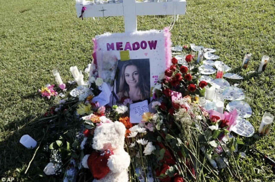 Antifa website attacks conservative Parkland shooting survivor and family of victim Meadow Pollack