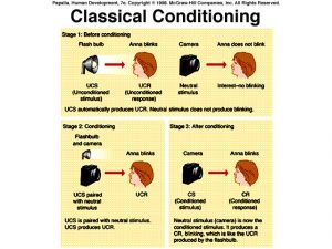 classical conditioning