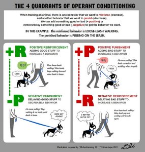 operant-conditioning