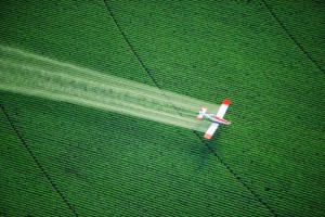 plane pesticide
