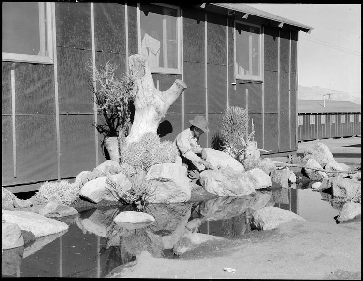 Manzanar Relocation Center, Manzanar, California. William Katsuki, former professional landscape gardener for large estates in Southern California, demonstrates his skill and ingenuity in creating from materials close at hand, a desert garden alongside his home in the barracks at this War Relocation Authority center.