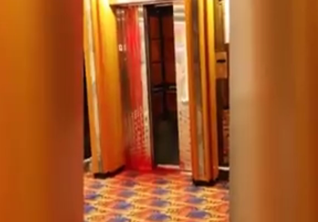 Cruise from hell: Carnival passengers horrified by waterfall of blood after elevator crushes man to death