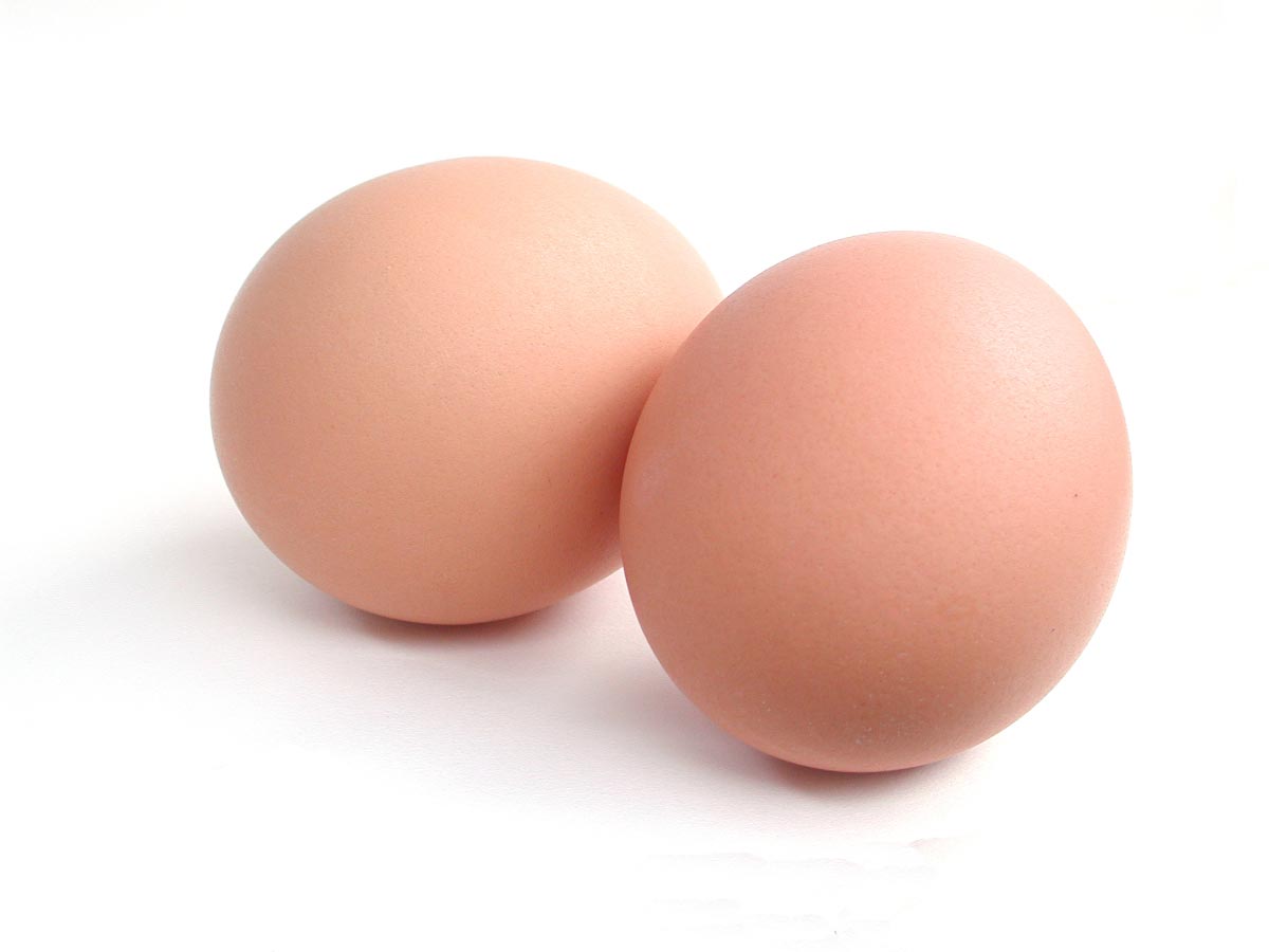Want better-tasting eggs and more of them? Here’s how