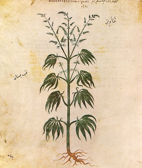 Marijuana use in ancient Egypt