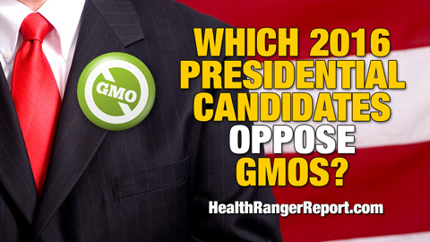 Which 2016 presidential candidates oppose GMOs?
