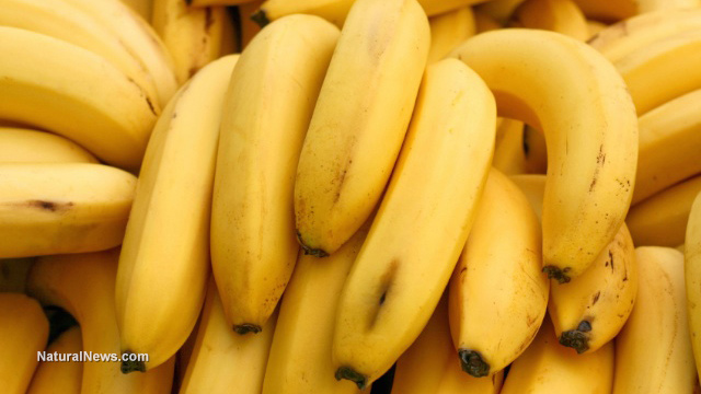 Here are 4 reasons why bananas are the ultimate tropical superfruit