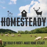 Honey, Bees, and Should a Homesteading Family Try Beekeeping? (Audio)