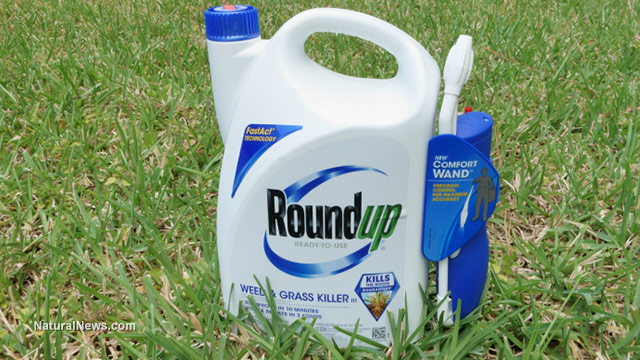 Class action lawsuit accuses Monsanto of falsely advertising the “safety” of glyphosate