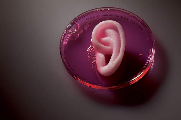 Biological 3D printer achieves breakthrough in printing human body parts for surgical attachment