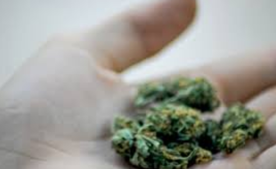 Anti-business regulations are forcing marijuana dispensaries to close even in states where the plant is legal