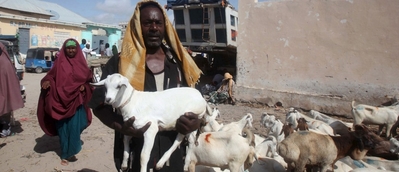 Rape apologist mentality causes leftist Norwegian politician to question whether Somali man who raped him… should actually be deported or not