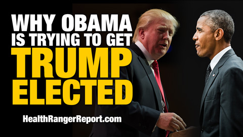 Obama is trying to get TRUMP elected!