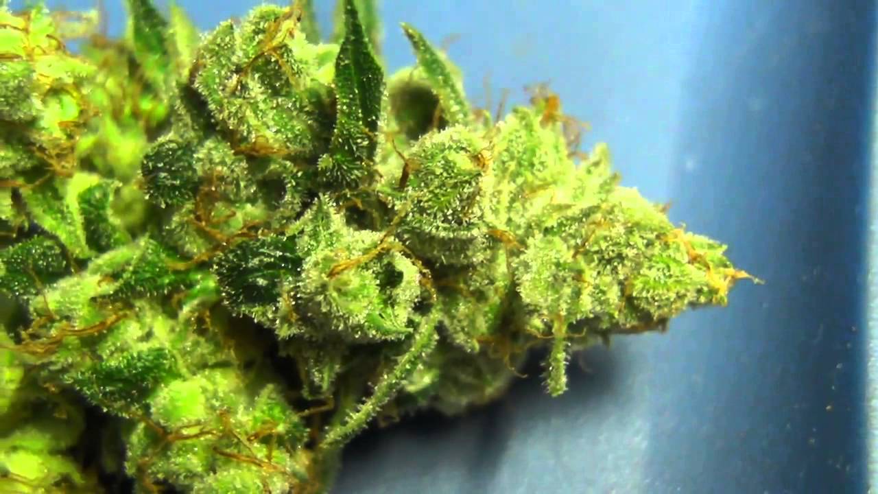 What to do if you’ve consumed too much cannabis