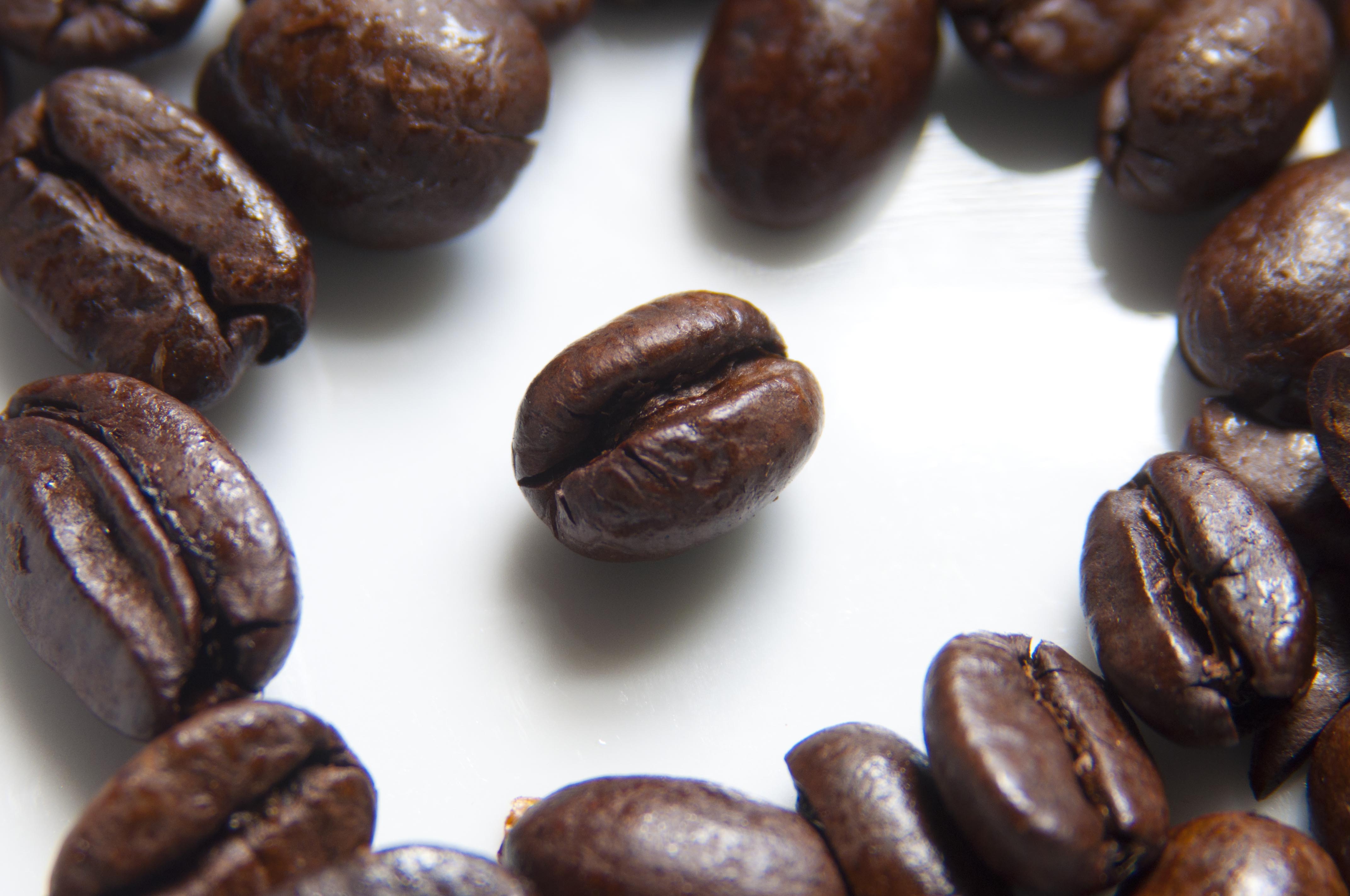 Coffee Advice and Other Tips to Get your Day Started Right