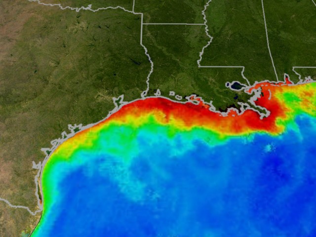 Pollution has caused the ‘Dead Zone’ in the gulf of Mexico to expand to the size of Connecticut