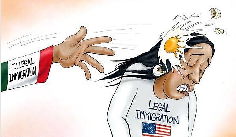 The brutal truth about illegal immigration that the mainstream media ignores