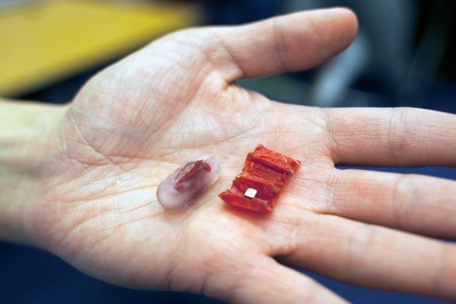 The robot you can EAT: Origami machine unfolds itself in the stomach to repair damage or remove swallowed objects