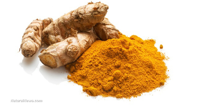 Study: Brain Stem Cells can be activated and regenerated by Turmeric Compound