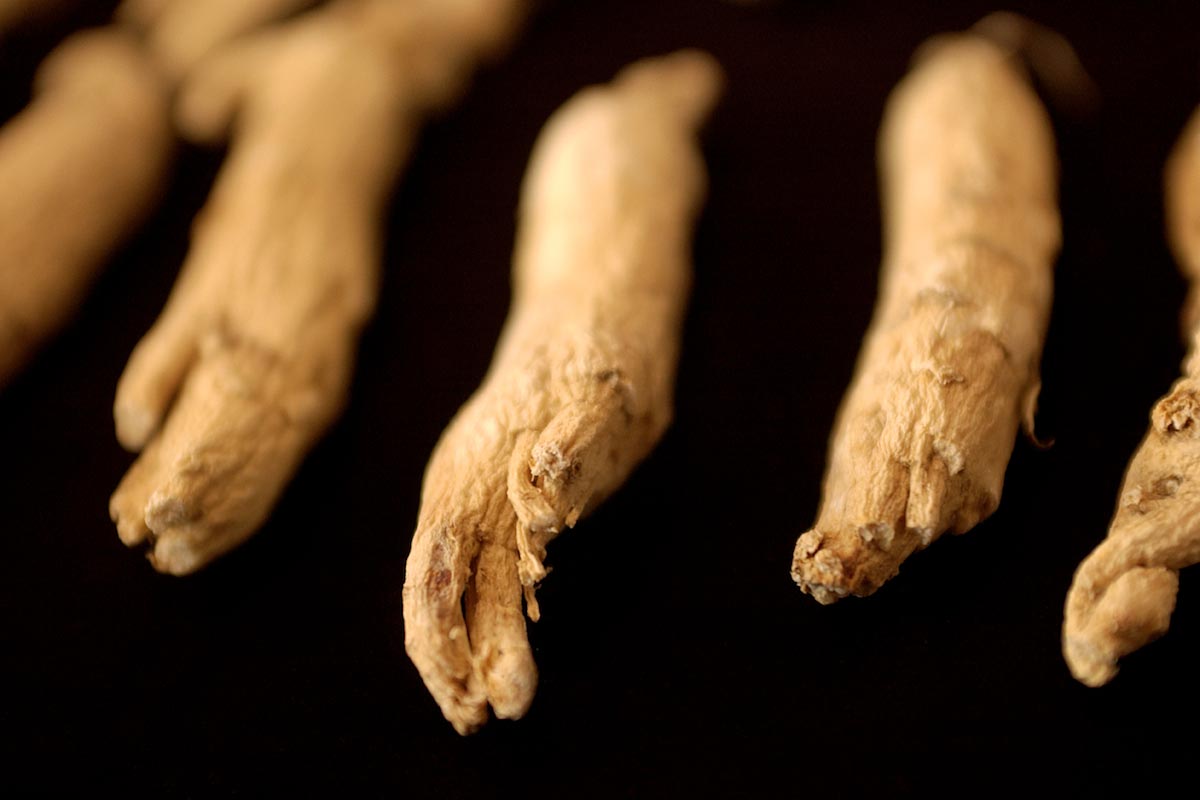 Grow your own ‘natural medicine’ ginger at home – for free
