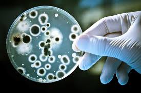 Warning: Drug-resistant bacterial apocalypse is on the horizon