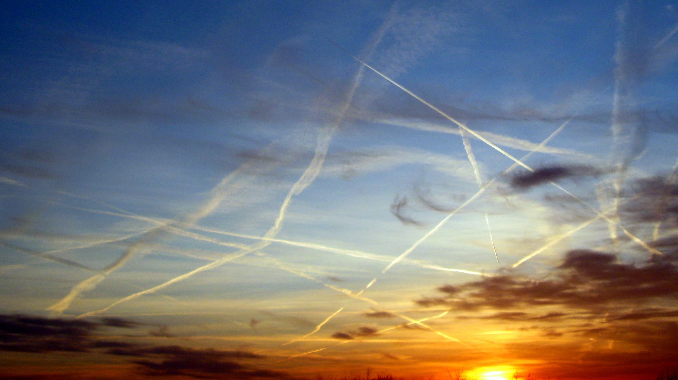 Top 10 natural supplements and herbs that can fight the toxicities emitted by chemtrails