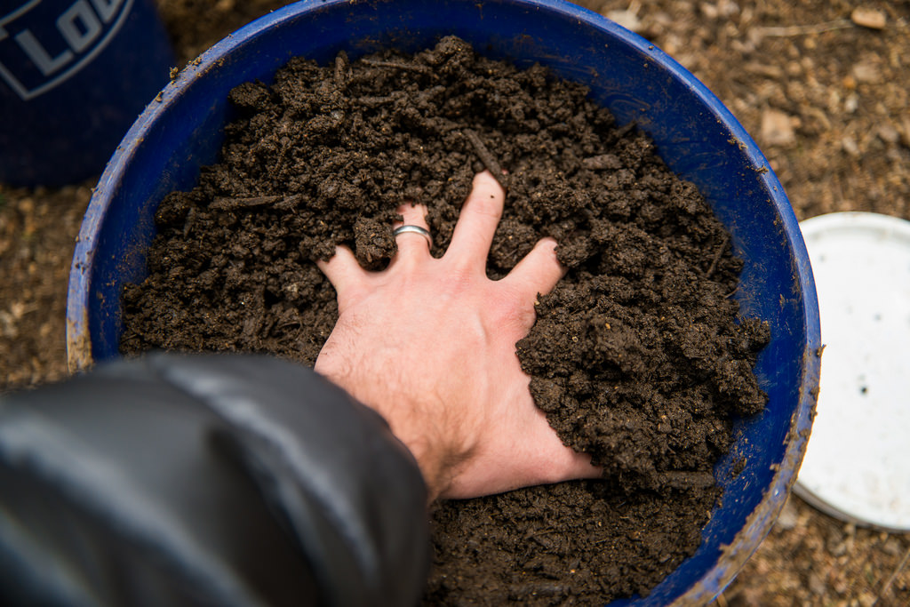 4 Soil problems and how to fix them