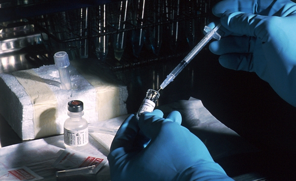 The insane vaccine industry now wants you FIRED from your job if you aren’t vaccinated