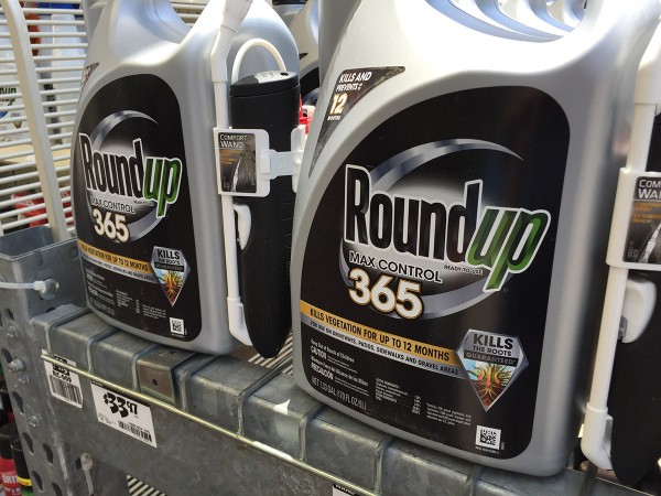 Is the EPA finally going to speak out about Monsanto’s cancer-causing glyphosate?