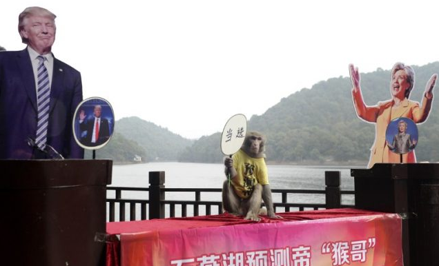China’s ‘monkey king’ picks Trump as next US president