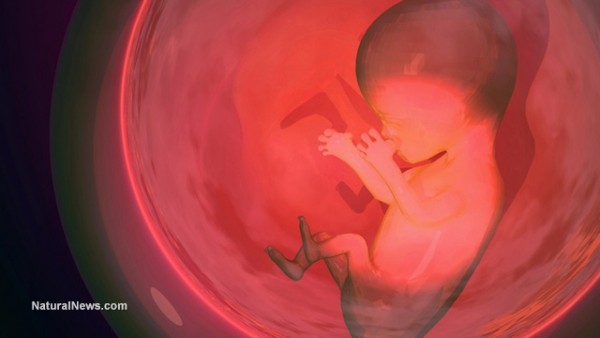 The Atlantic caught pushing fake science; claimed heartbeats of unborn babies are “imaginary”