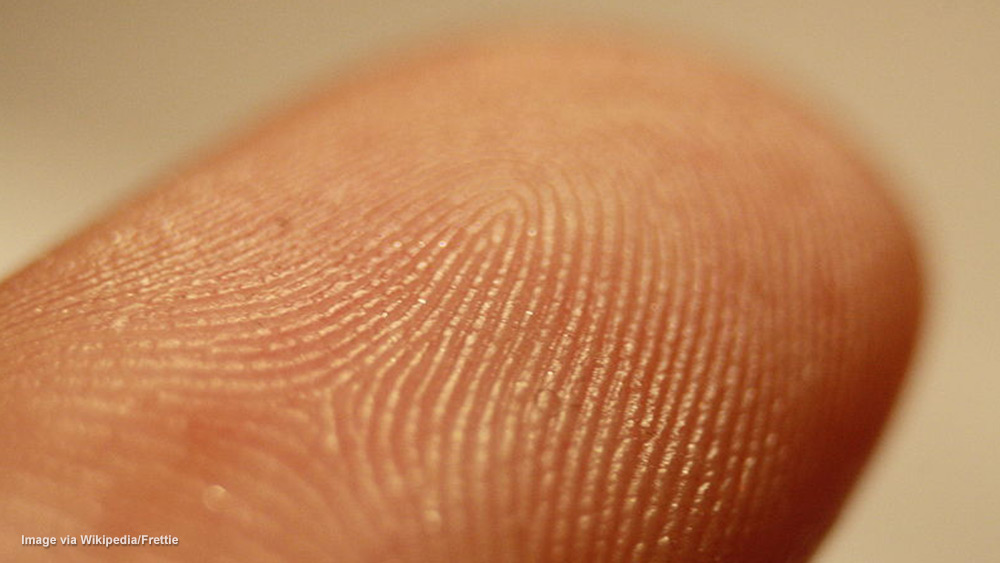Identity theft using selfies: Your fingerprint can now be stolen from your pictures