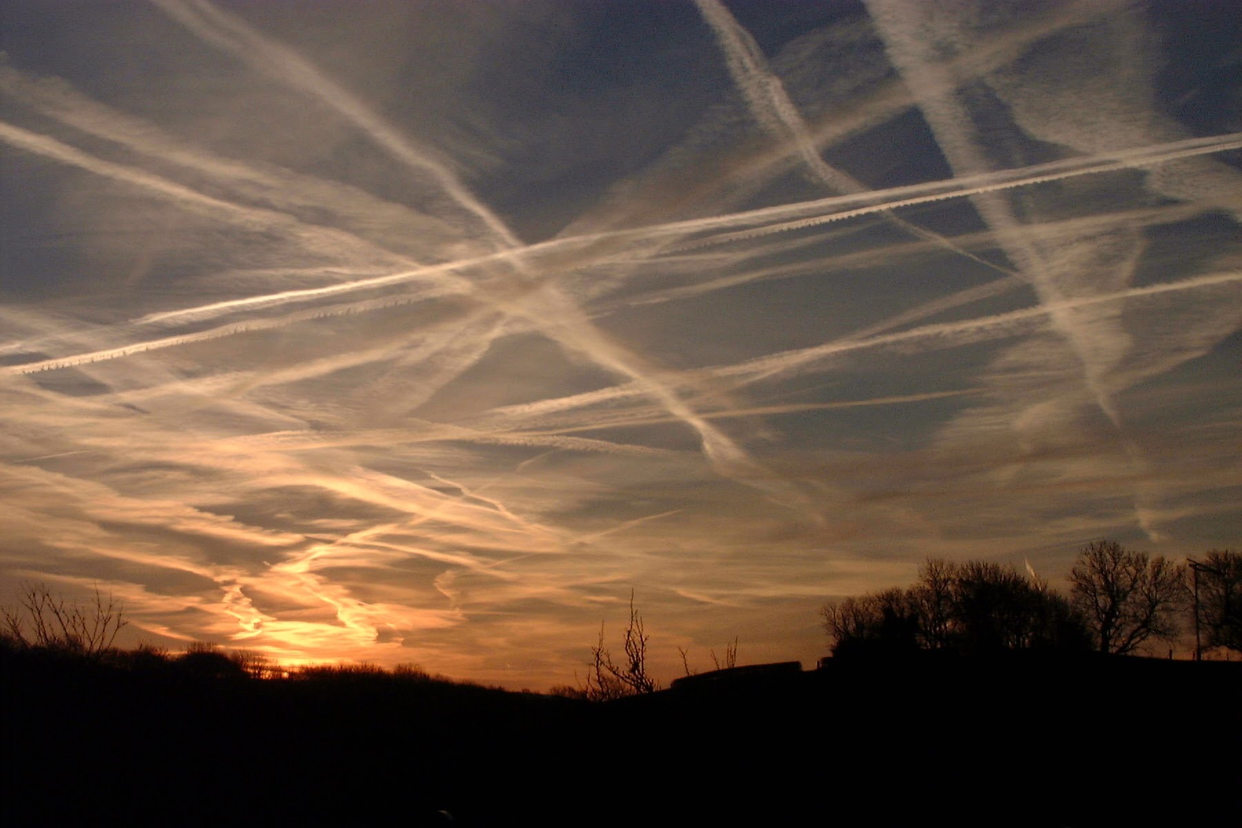 If geoengineering is not stopped it will destroy all planetary life