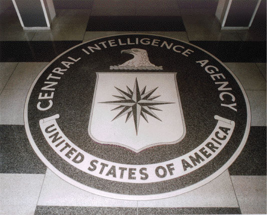 American mainstream media is merged with the CIA, and has been since the 1950s