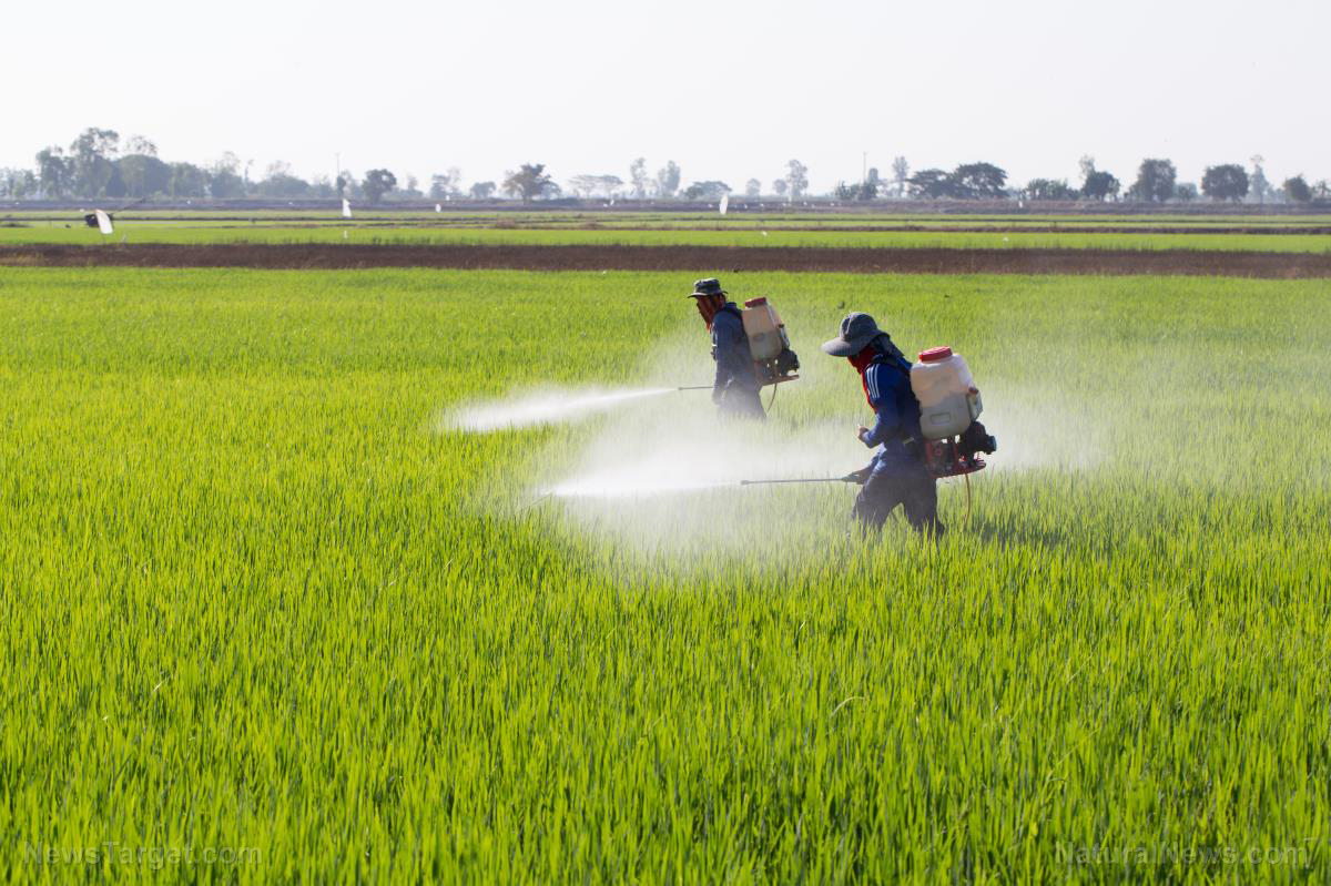 WARNING SIGNS: Code words in latest executive order indicate Trump may be getting sucked into the GMO / pesticide swamp