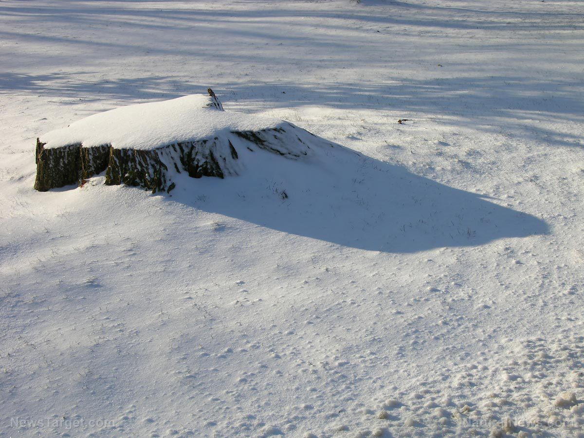 Spring snow melts found to unleash cascade of toxic chemicals produced in densely populated cities