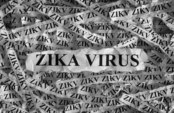 Zika virus vaccine will genetically re-engineer your DNA
