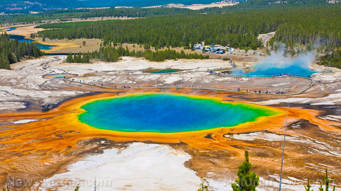 Yellowstone is rumbling again with swarm of over 200 tremors in less than two weeks