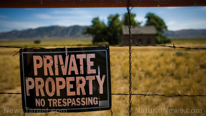 Protect your property with these three non-lethal booby traps
